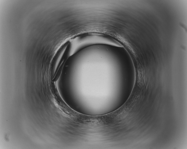 X0000099510580200805151501