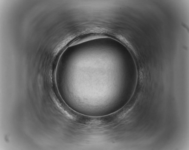 X0000099510581200805151501