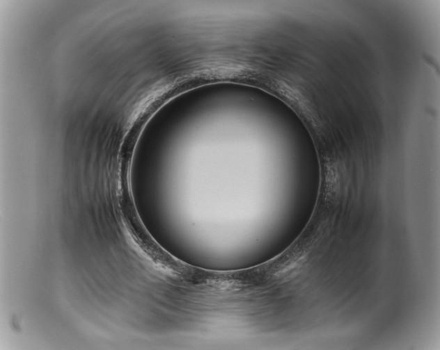 X0000099510582200805151501
