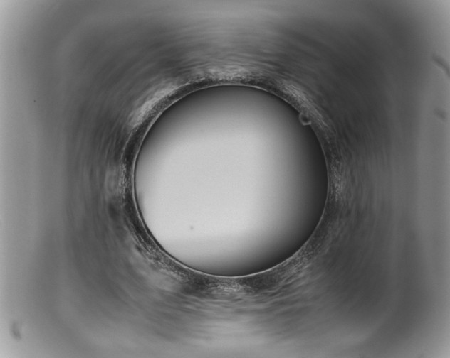 X0000099510583200805151501