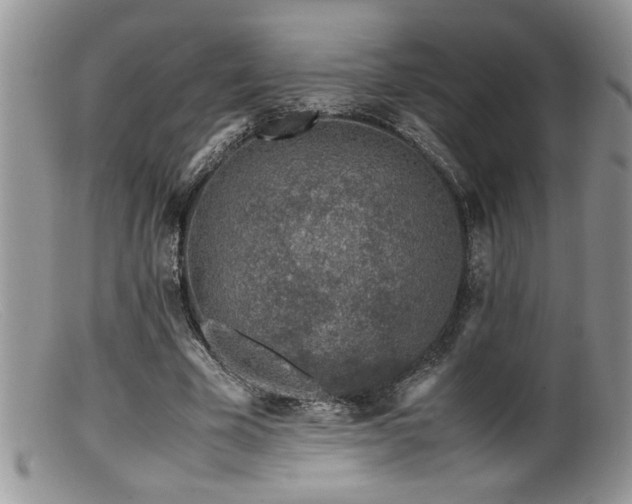X0000099510585200805151501