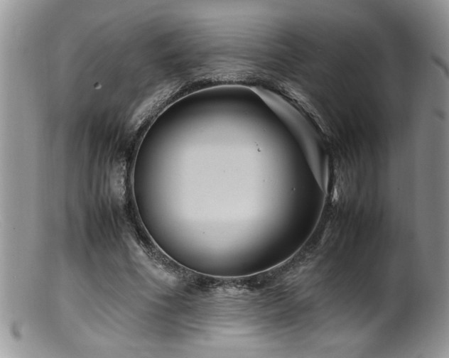 X0000099510586200805151501