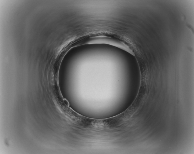 X0000099510587200805151501