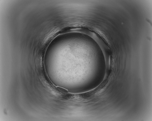X0000099510589200805151501