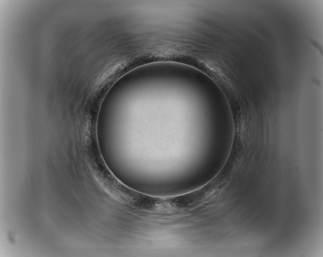 X0000099510591200805151501