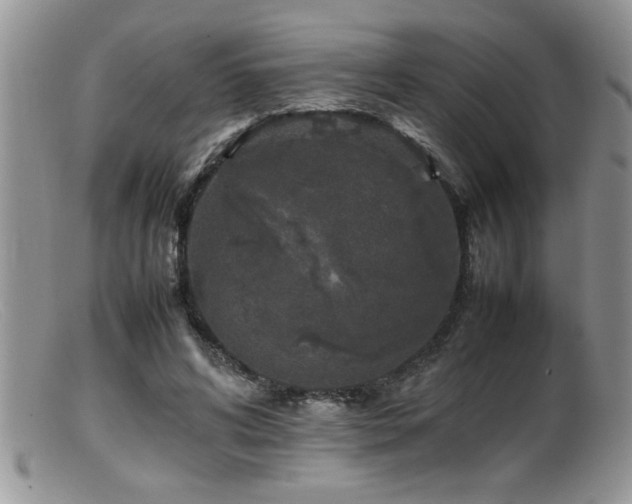 X0000099510592200805151501