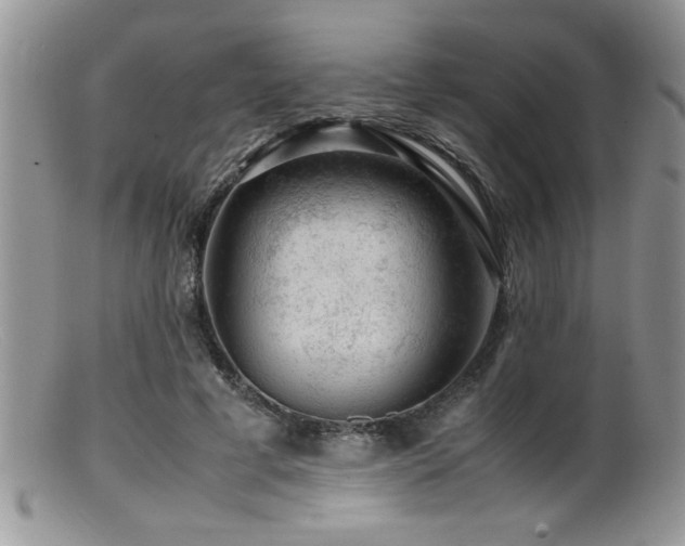 X0000099510593200805151501