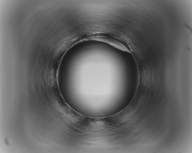 X0000099510594200805151501