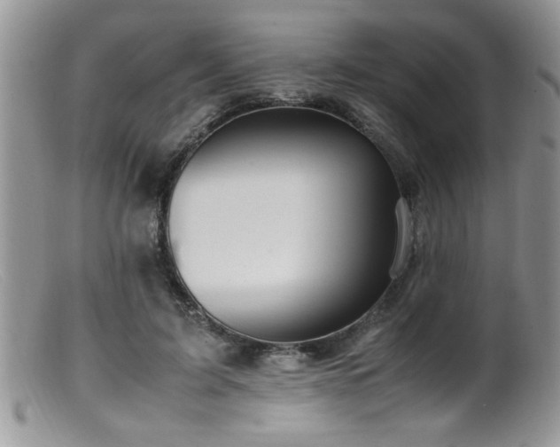 X0000099510595200805151501