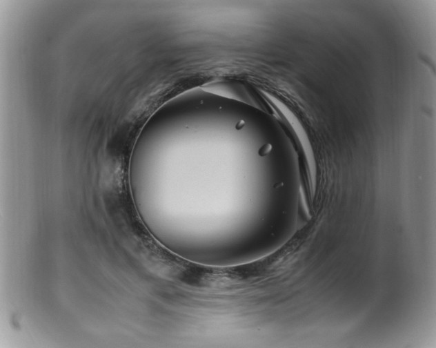 X0000099510597200805151501