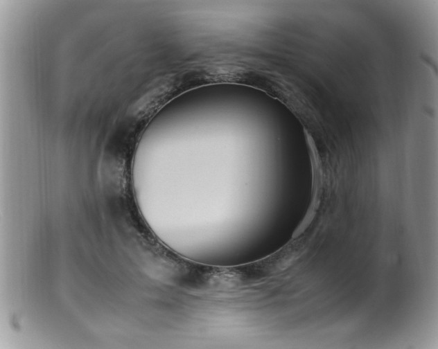 X0000099510599200805151501