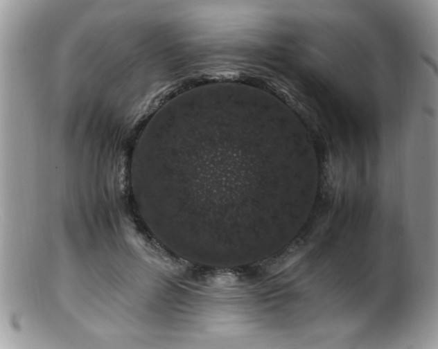 X0000099510600200805151501
