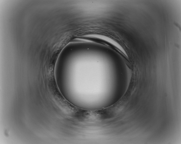 X0000099510601200805151501