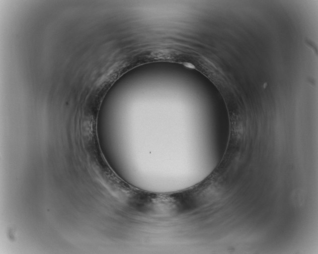 X0000099510603200805151501