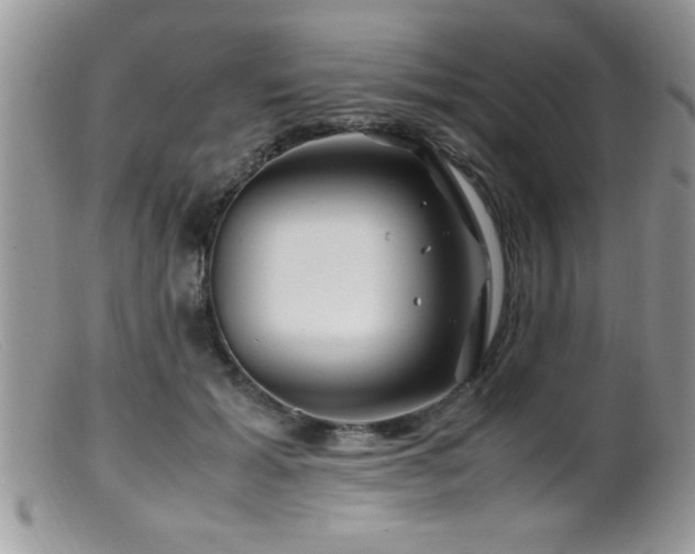X0000099510605200805151501