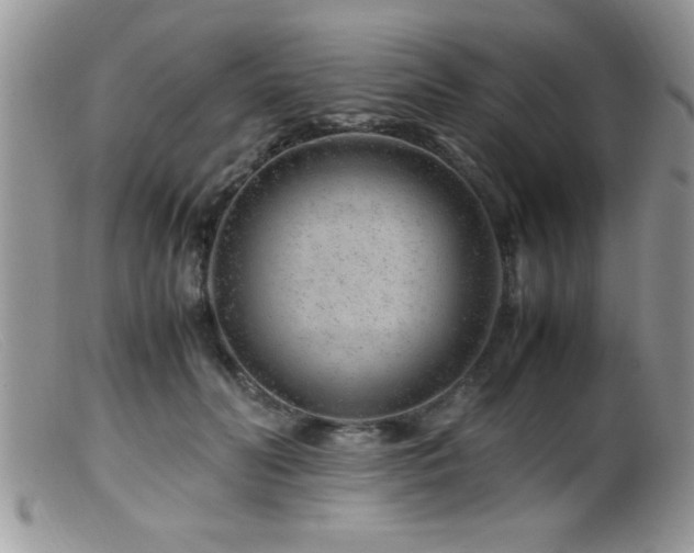 X0000099510606200805151501