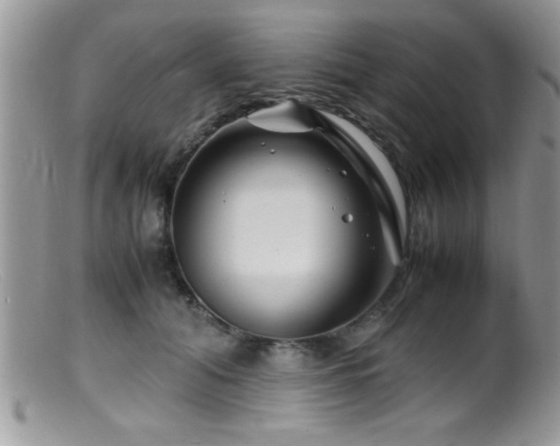 X0000099510608200805151501