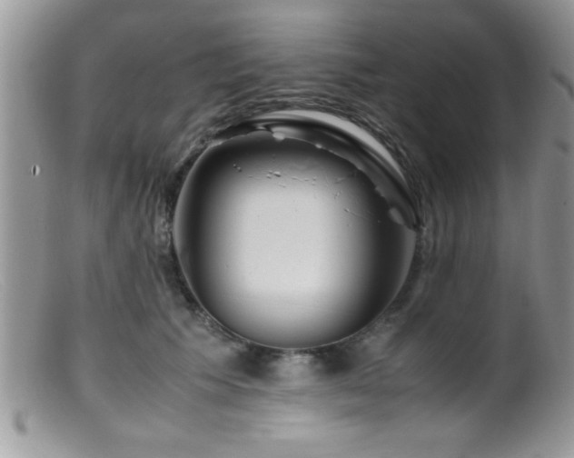 X0000099510609200805151501
