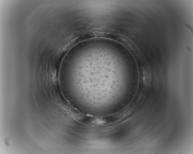 X0000099510610200805151501