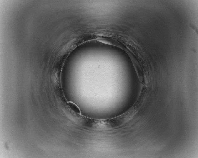 X0000099510611200805151501