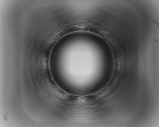 X0000099510612200805151501