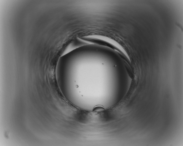 X0000099510613200805151501