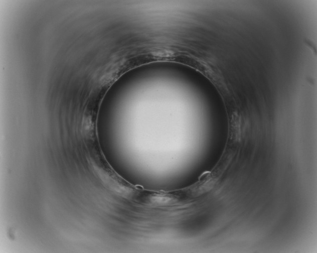 X0000099510614200805151501