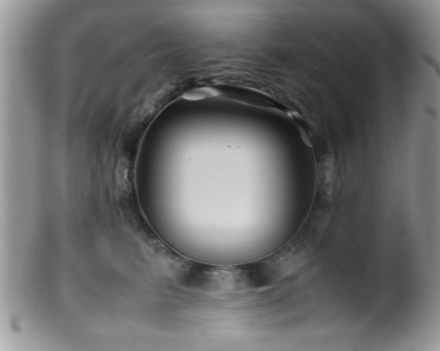X0000099510615200805151501