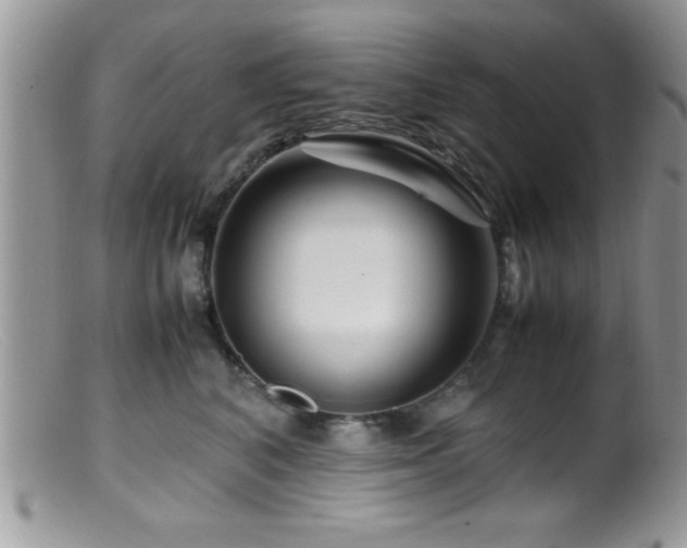 X0000099510616200805151501
