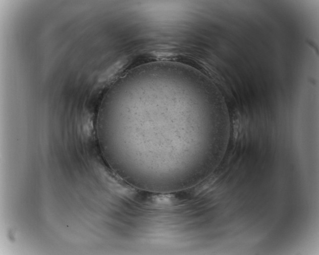 X0000099510618200805151501