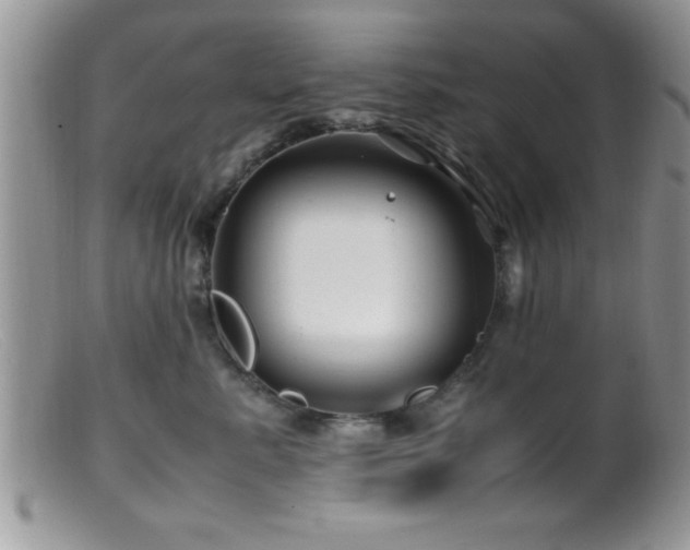 X0000099510619200805151501