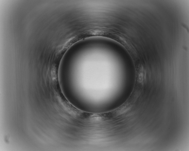 X0000099510620200805151501