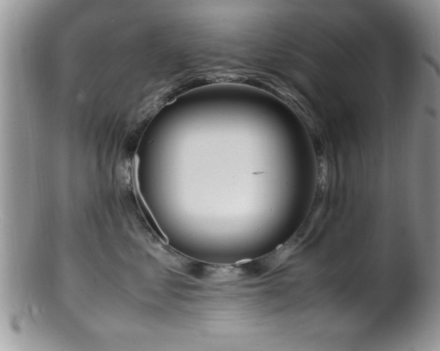 X0000099510621200805151501