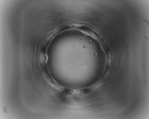 X0000099510623200805151500