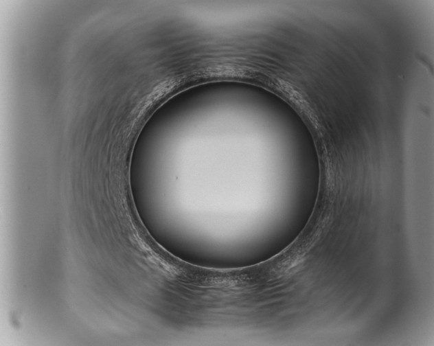 X0000099510625200805151500