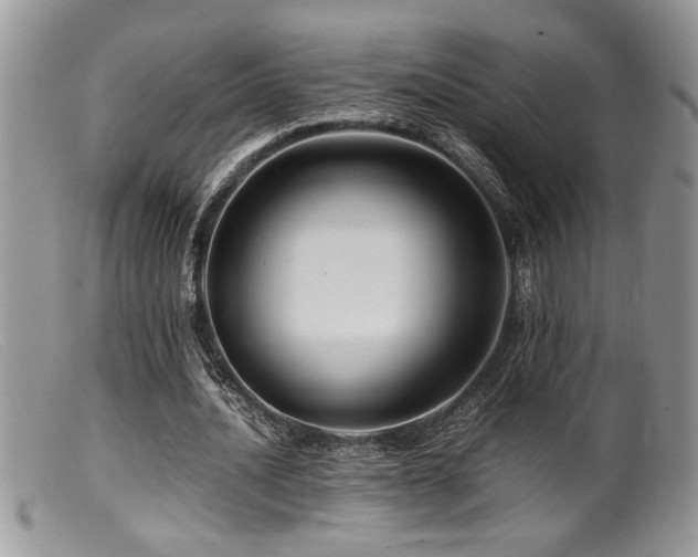 X0000099510628200805151500