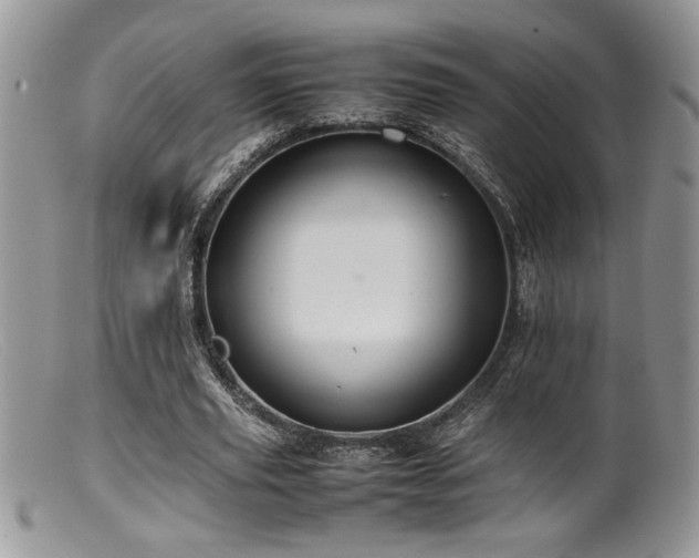 X0000099510629200805151500