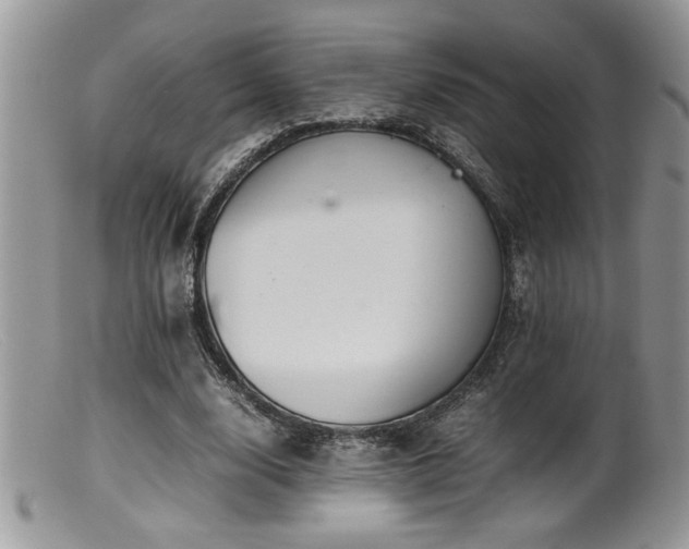X0000099510632200805151500