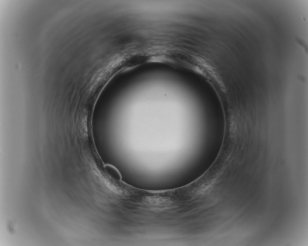 X0000099510633200805151500