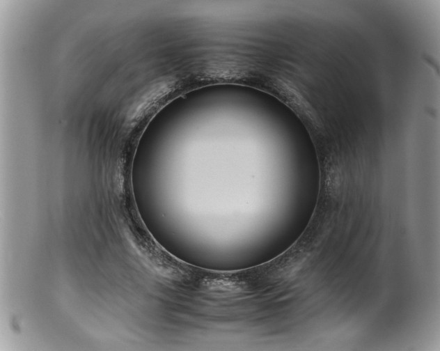 X0000099510635200805151500