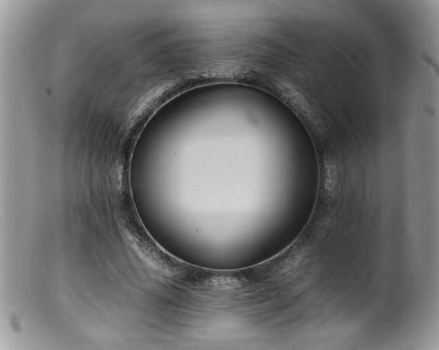 X0000099510636200805151500