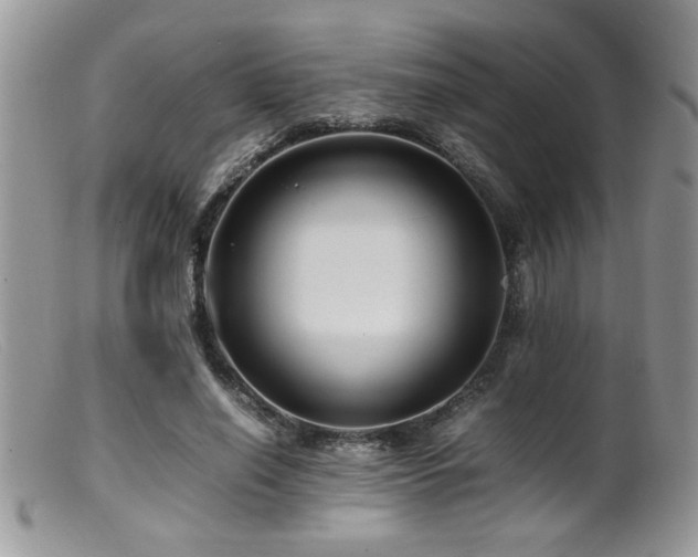 X0000099510638200805151500
