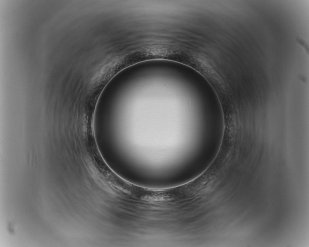X0000099510639200805151500