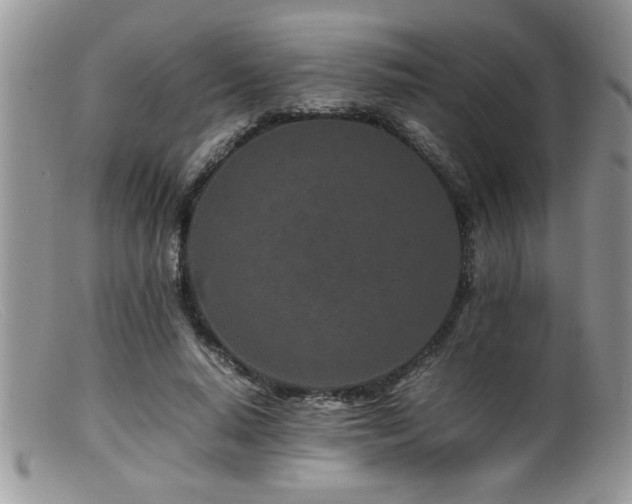 X0000099510640200805151500
