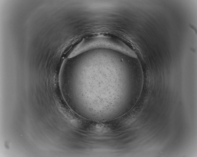 X0000099510641200805151500