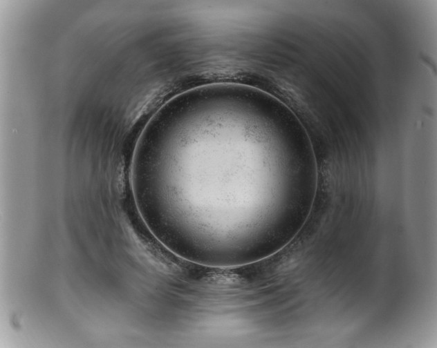 X0000099510642200805151500