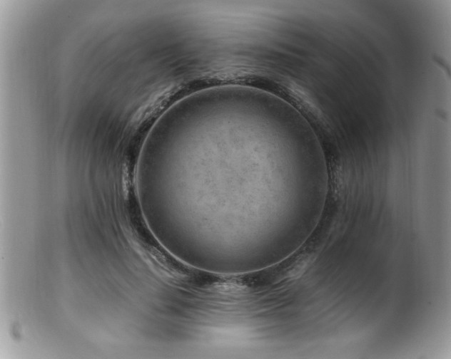 X0000099510644200805151500
