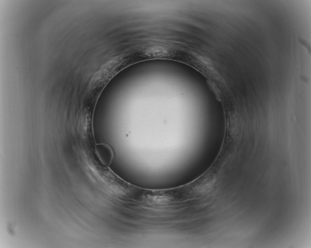 X0000099510645200805151500