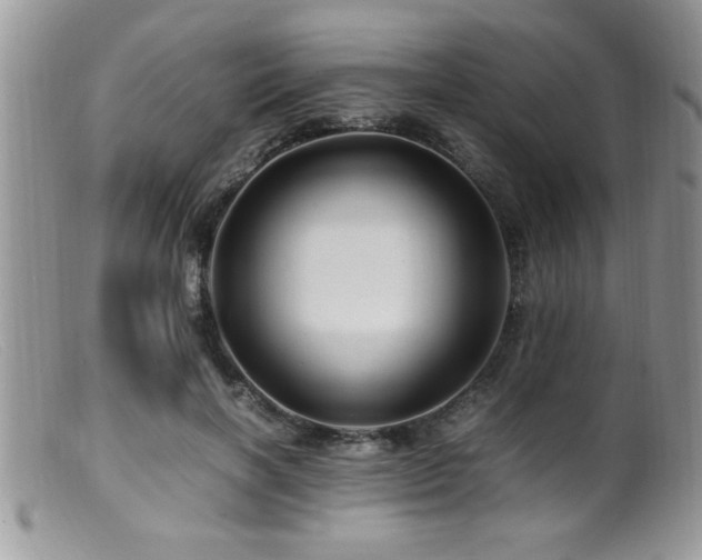 X0000099510646200805151500