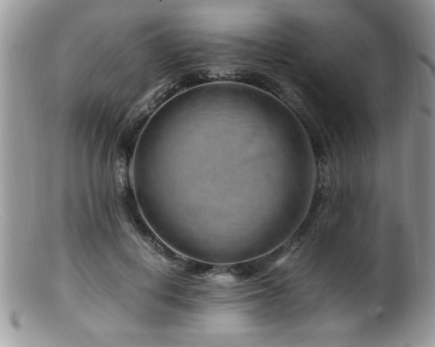 X0000099510648200805151500